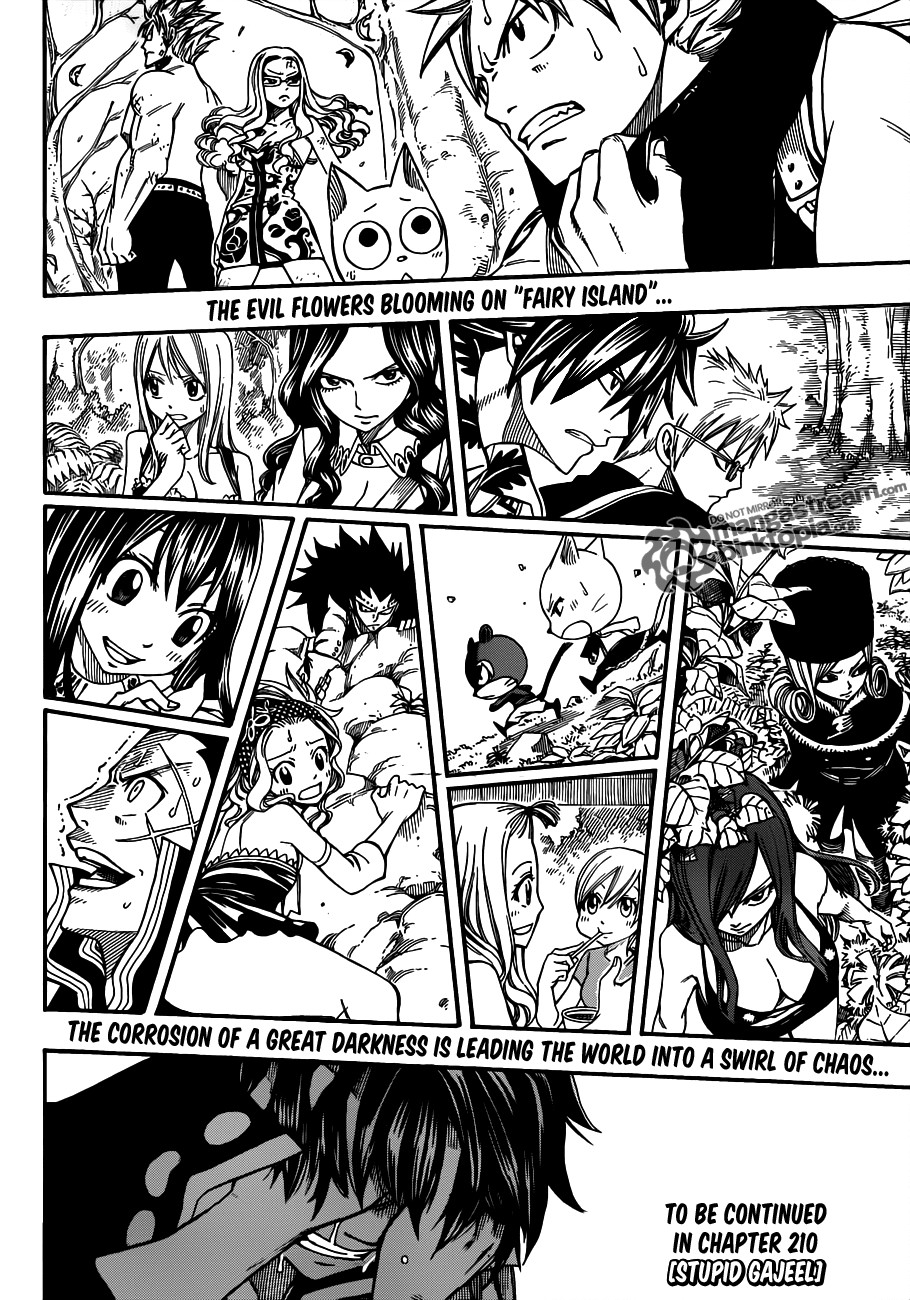 Fairy Tail Chapter 209 18